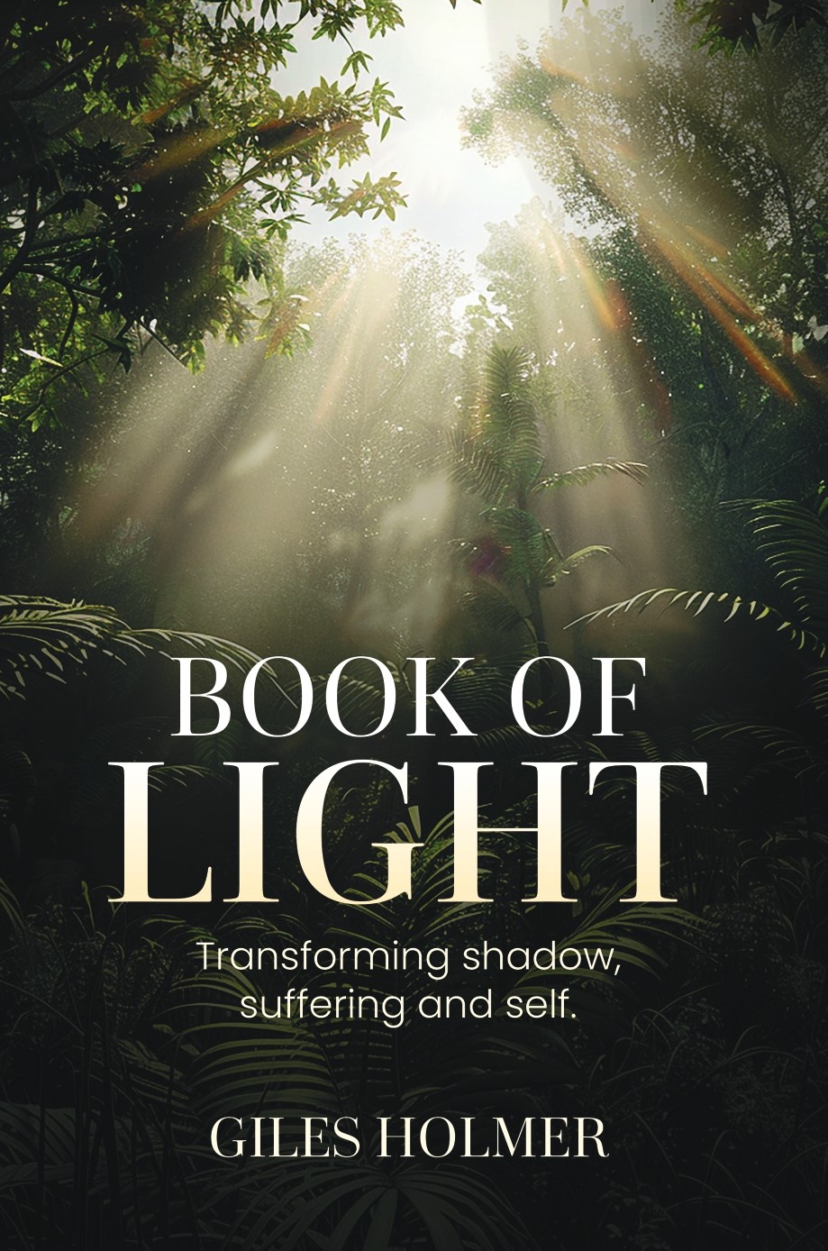 Book of Light by Giles Holmer